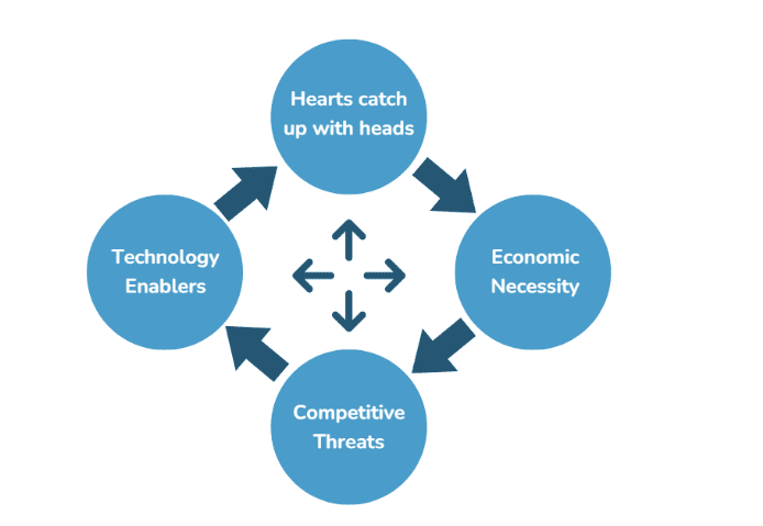 Four Key Drivers in IT